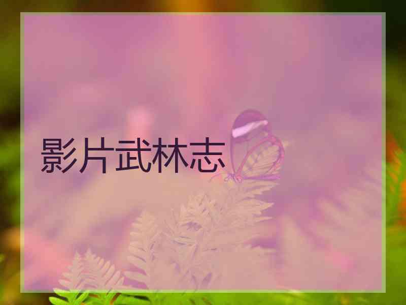 影片武林志