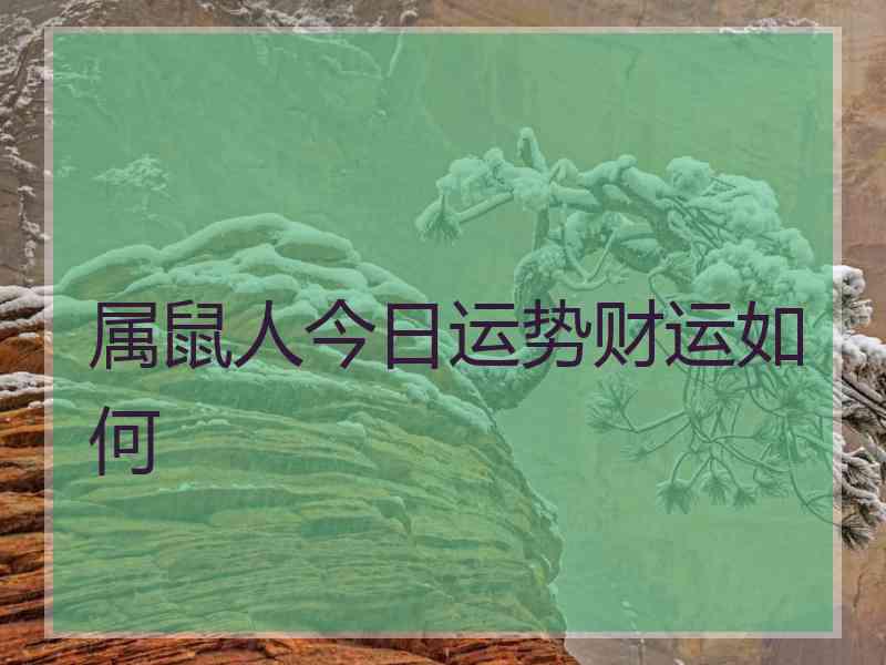 属鼠人今日运势财运如何