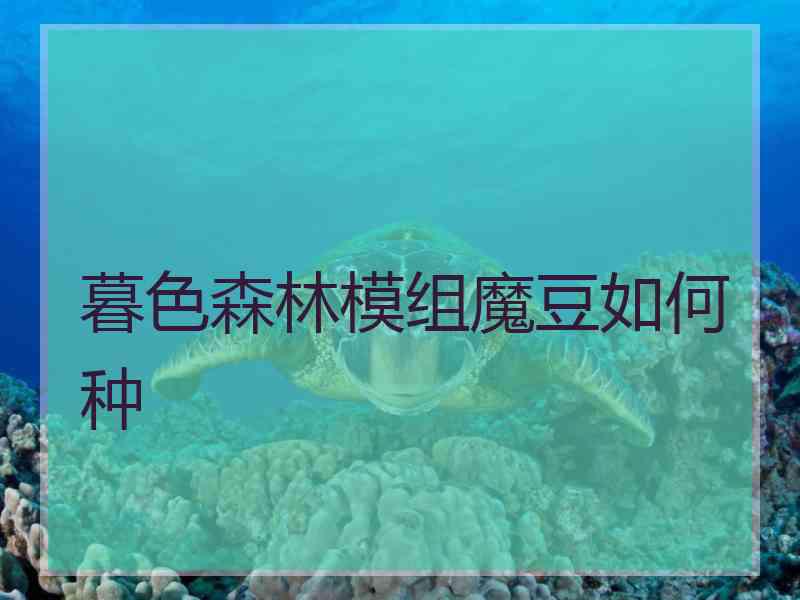 暮色森林模组魔豆如何种