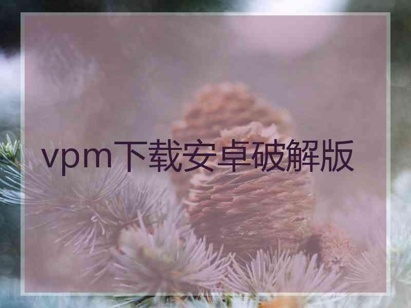 vpm下载安卓破解版