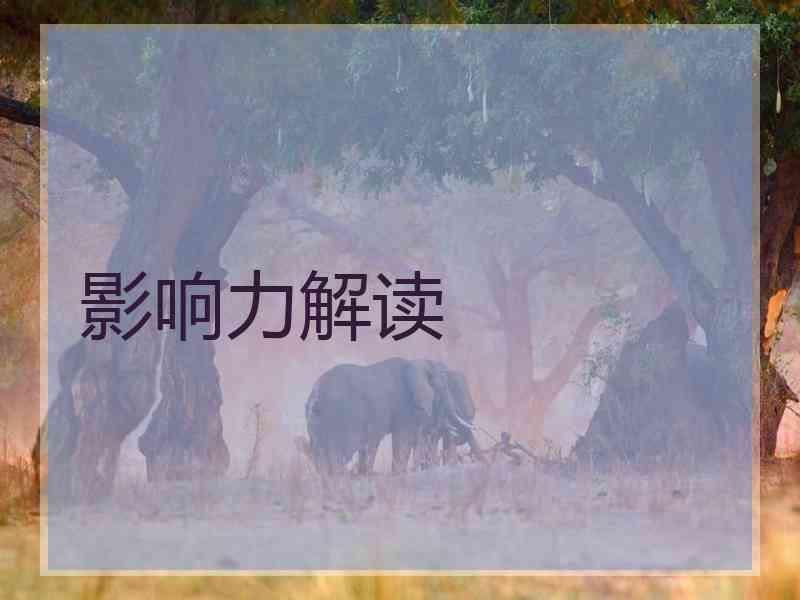影响力解读