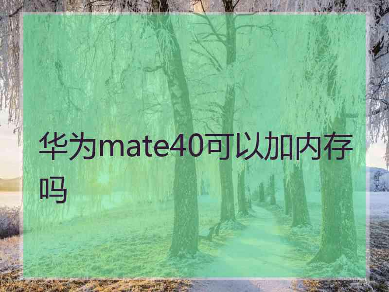 华为mate40可以加内存吗