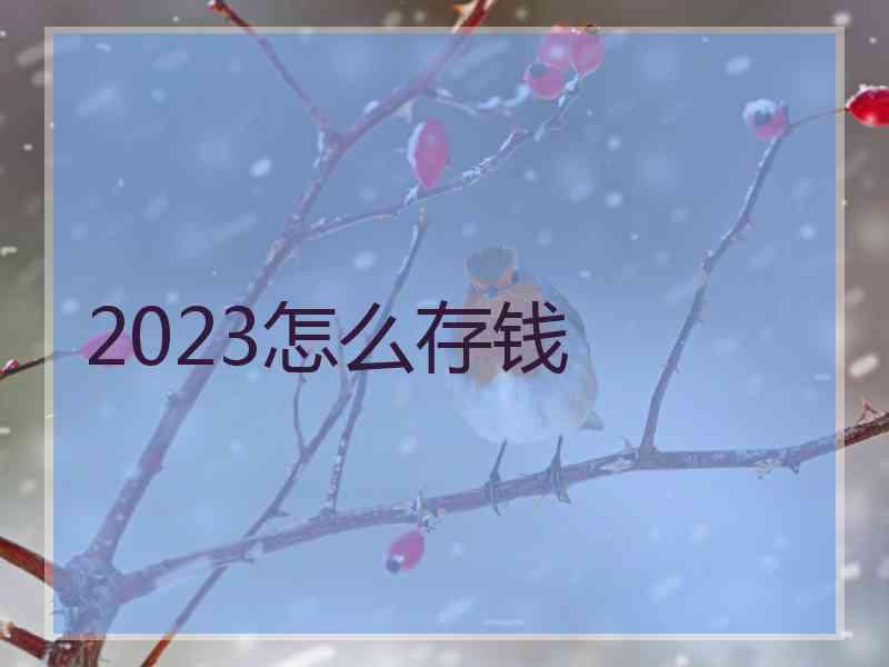 2023怎么存钱