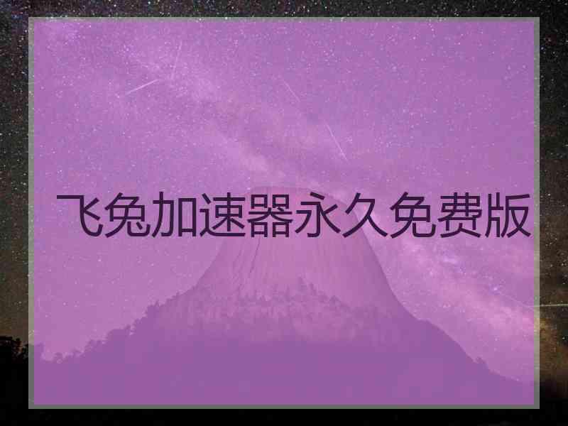 飞兔加速器永久免费版