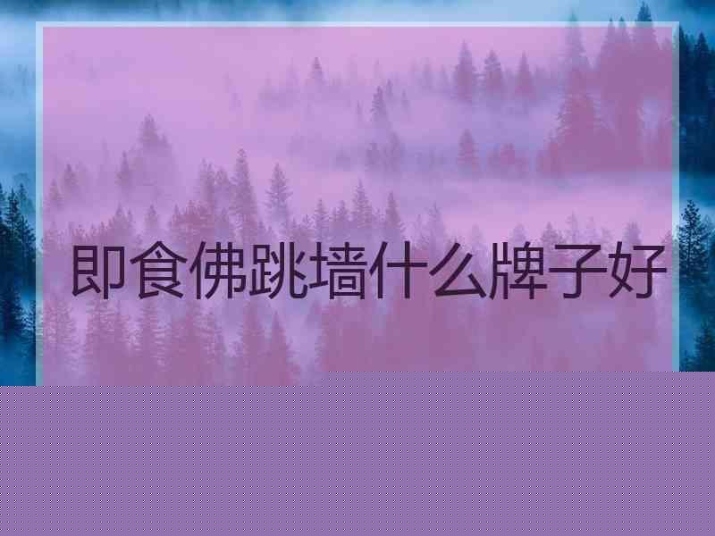 即食佛跳墙什么牌子好