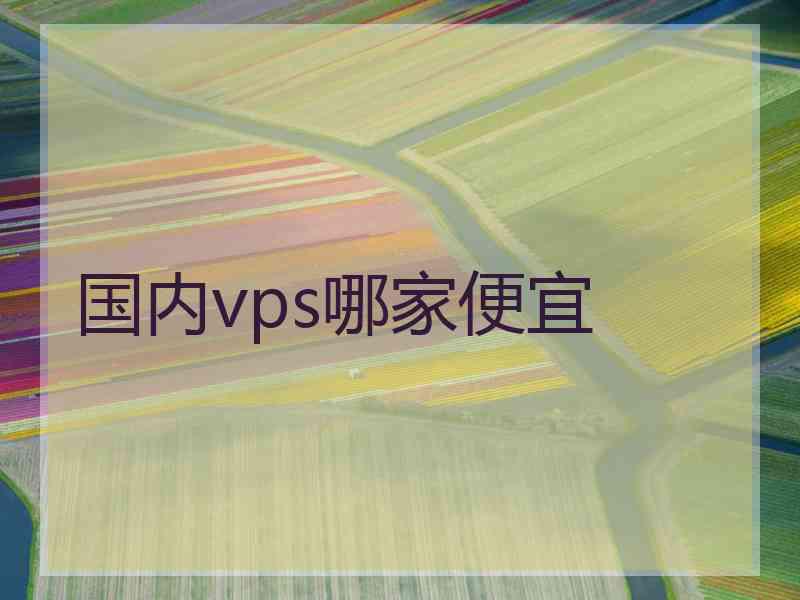 国内vps哪家便宜