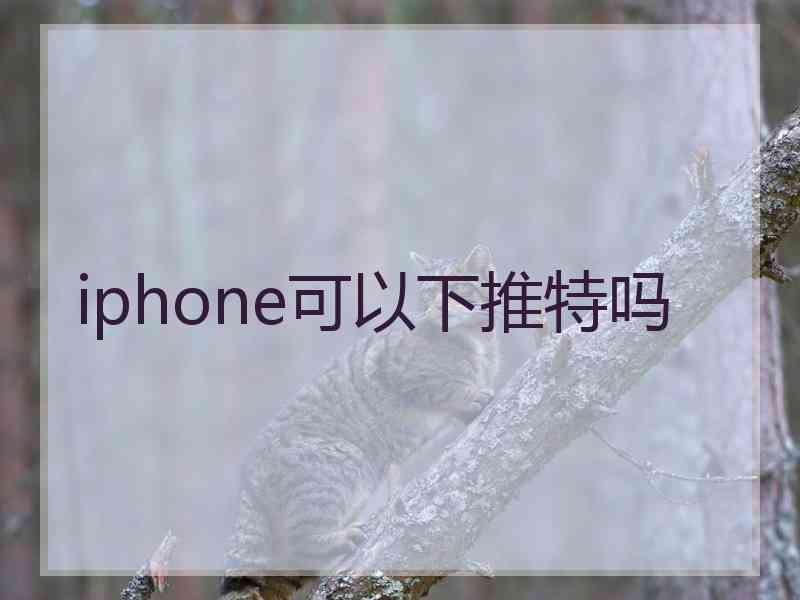 iphone可以下推特吗