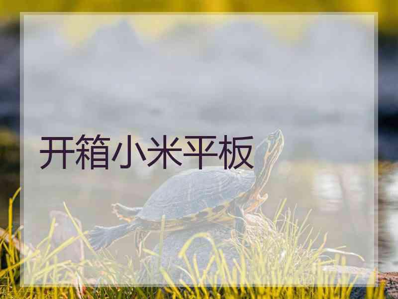 开箱小米平板