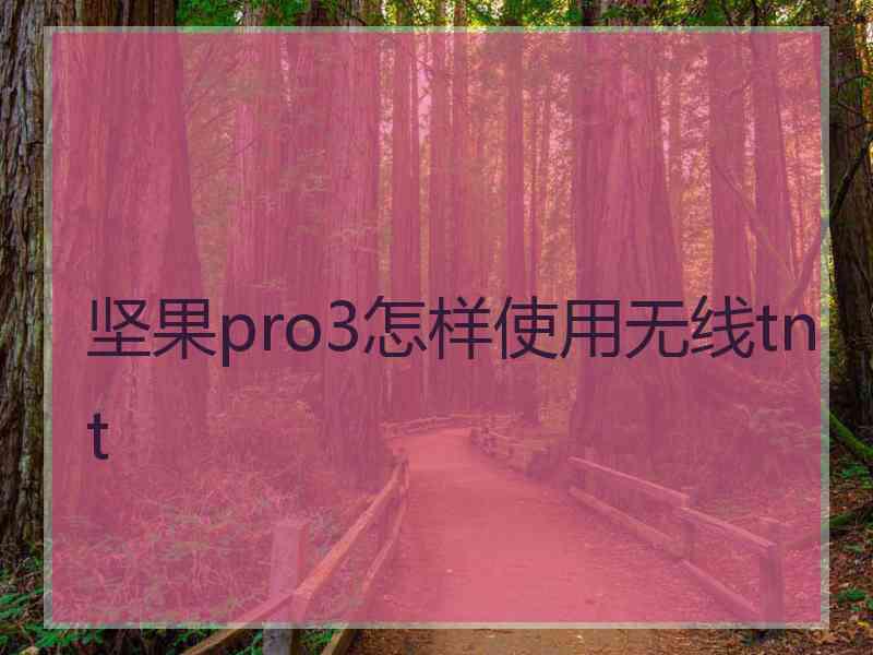 坚果pro3怎样使用无线tnt