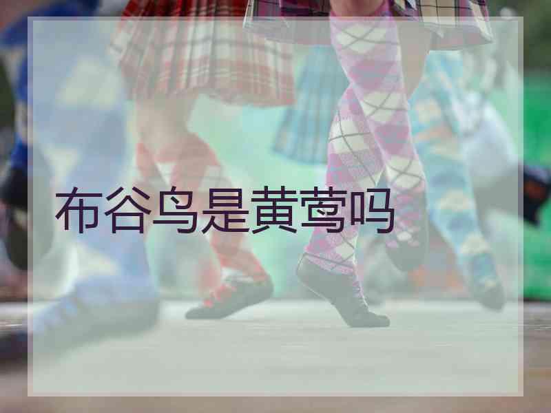 布谷鸟是黄莺吗