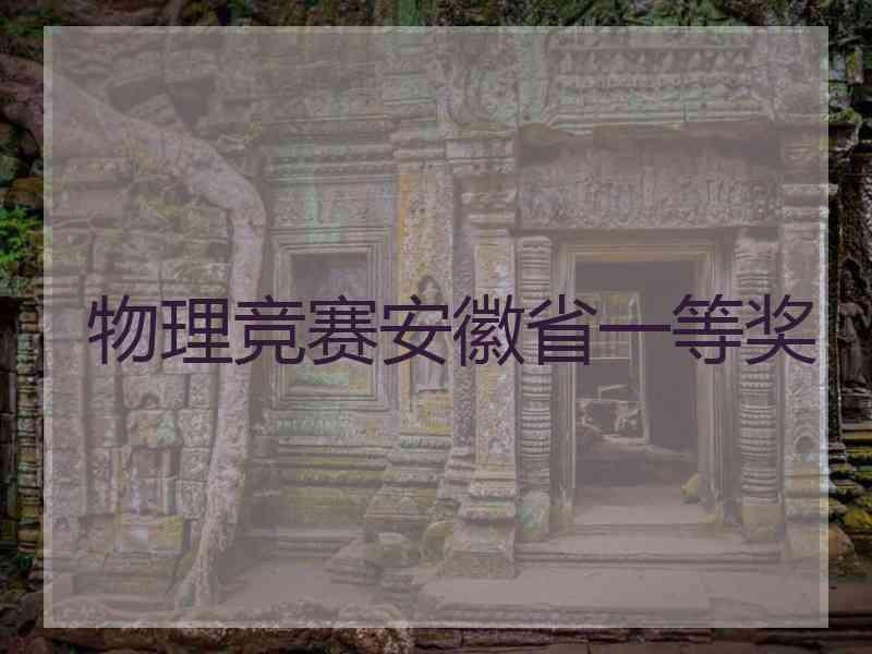 物理竞赛安徽省一等奖