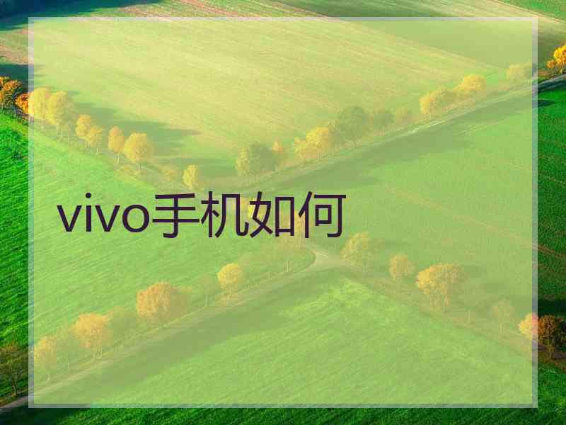 vivo手机如何