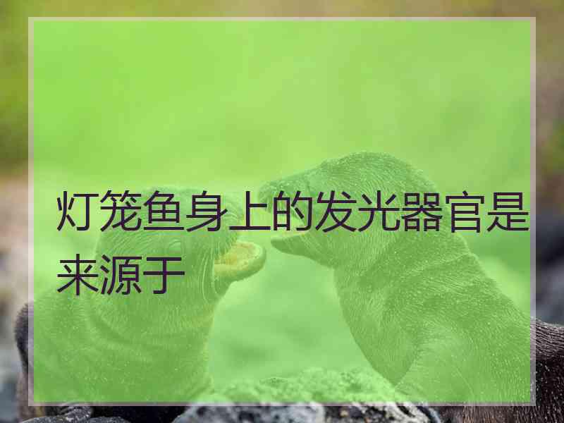 灯笼鱼身上的发光器官是来源于