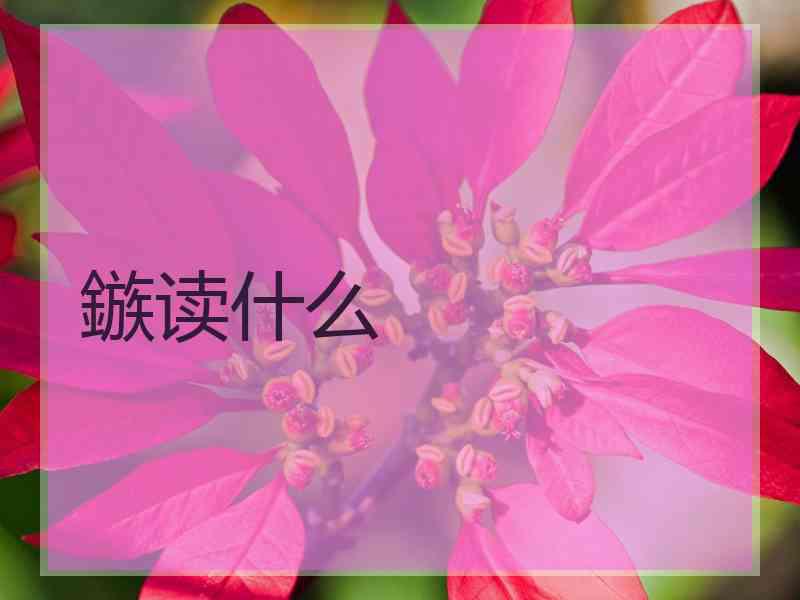 鏃读什么
