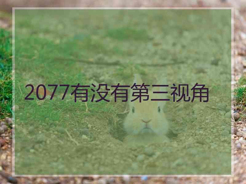 2077有没有第三视角