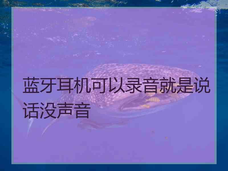 蓝牙耳机可以录音就是说话没声音