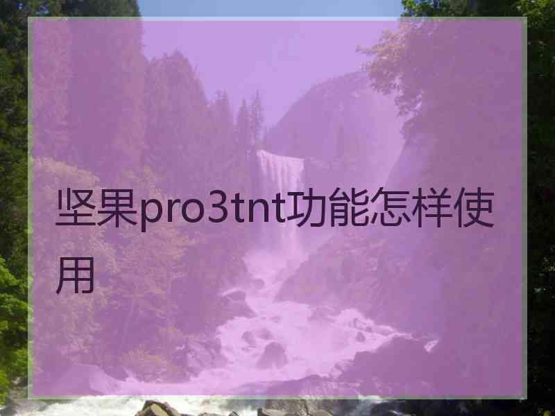 坚果pro3tnt功能怎样使用