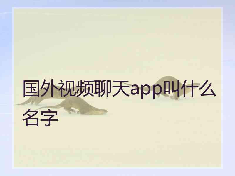 国外视频聊天app叫什么名字