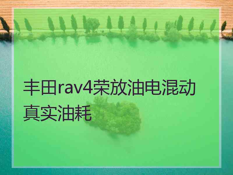 丰田rav4荣放油电混动真实油耗