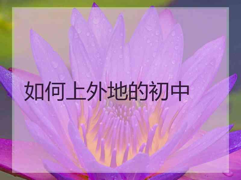 如何上外地的初中