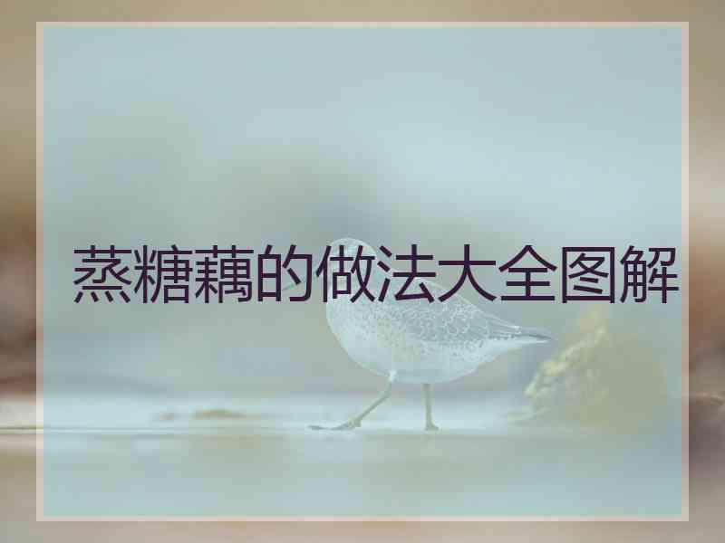 蒸糖藕的做法大全图解