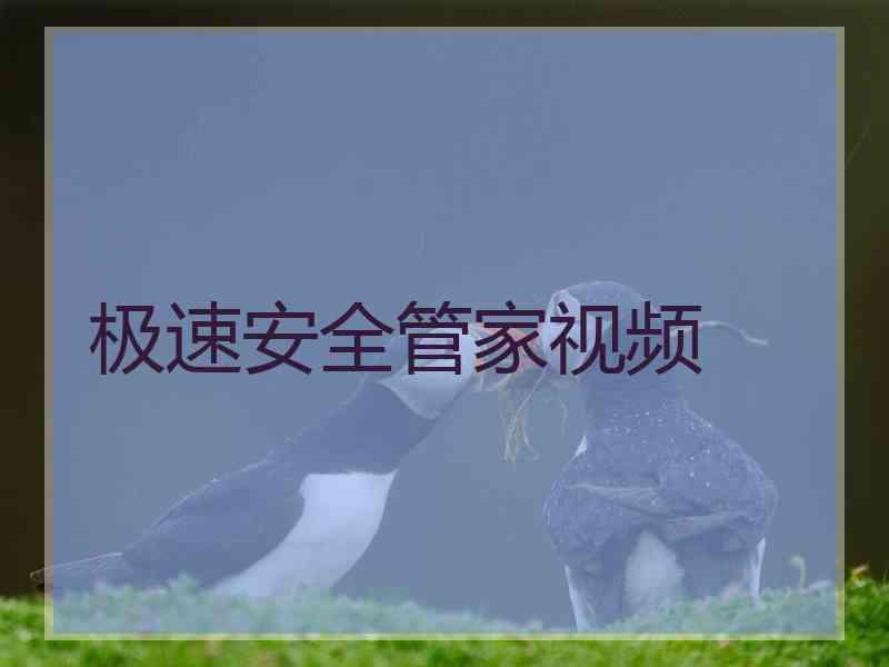 极速安全管家视频