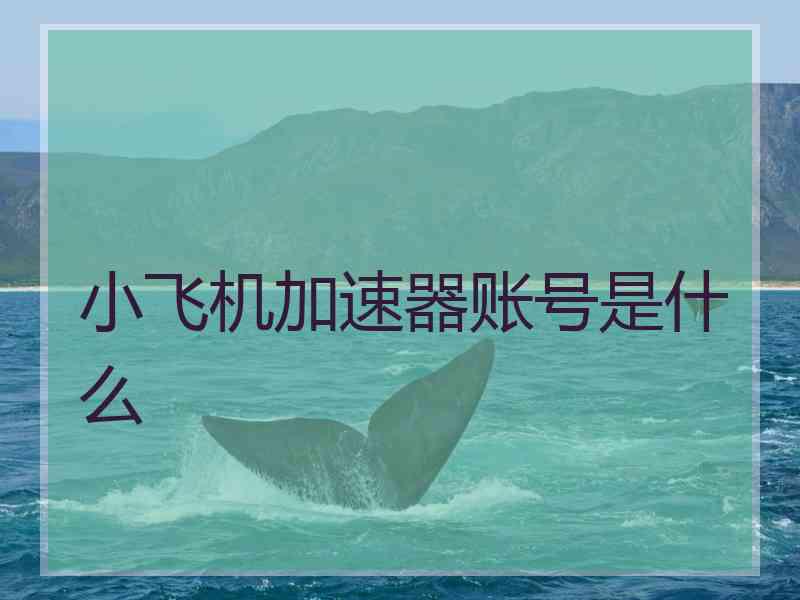 小飞机加速器账号是什么