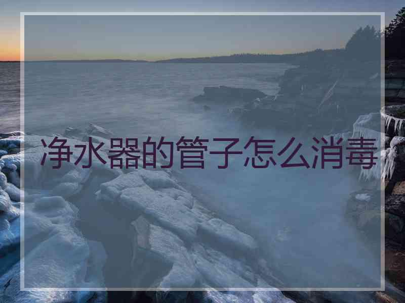 净水器的管子怎么消毒