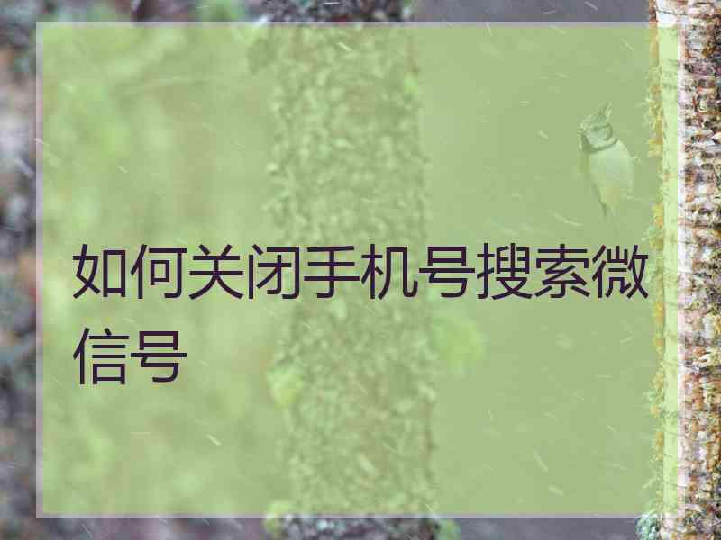 如何关闭手机号搜索微信号