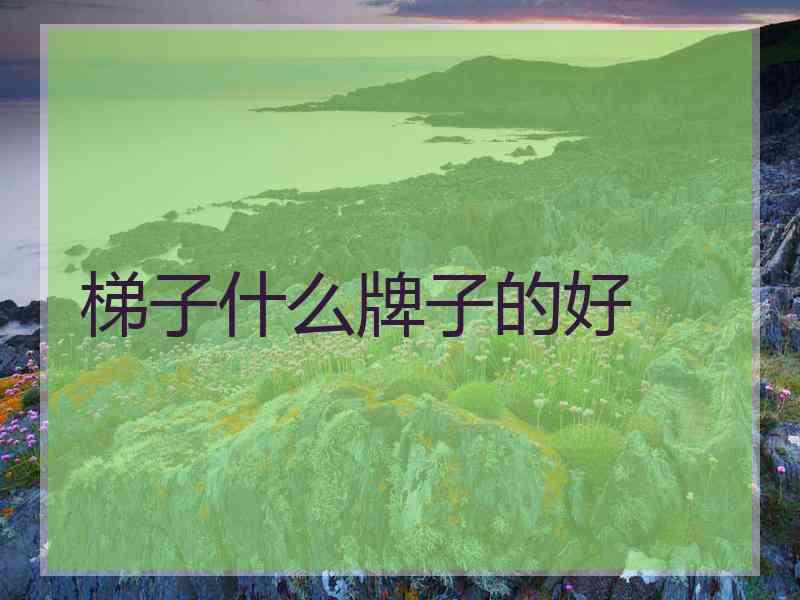 梯子什么牌子的好