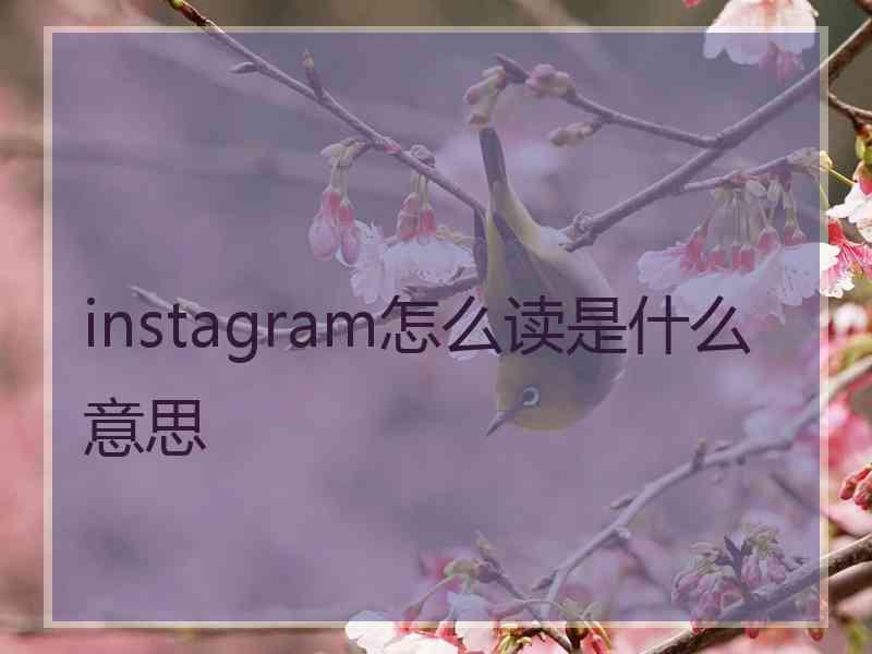 instagram怎么读是什么意思