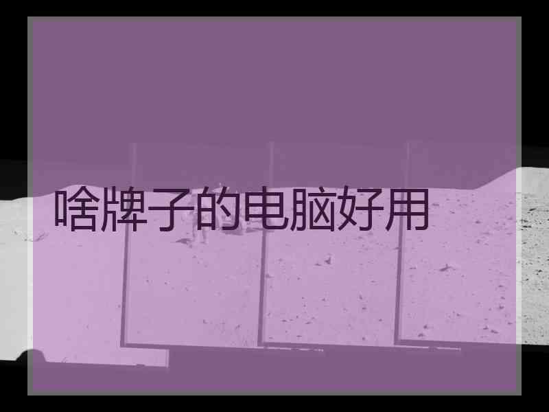 啥牌子的电脑好用