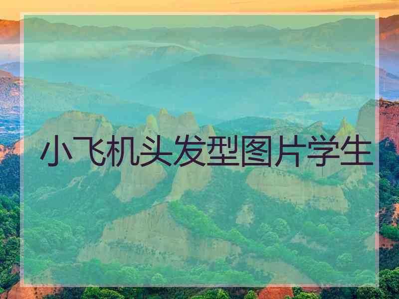 小飞机头发型图片学生
