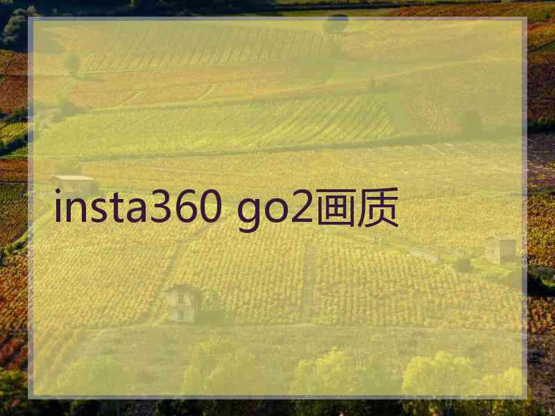 insta360 go2画质