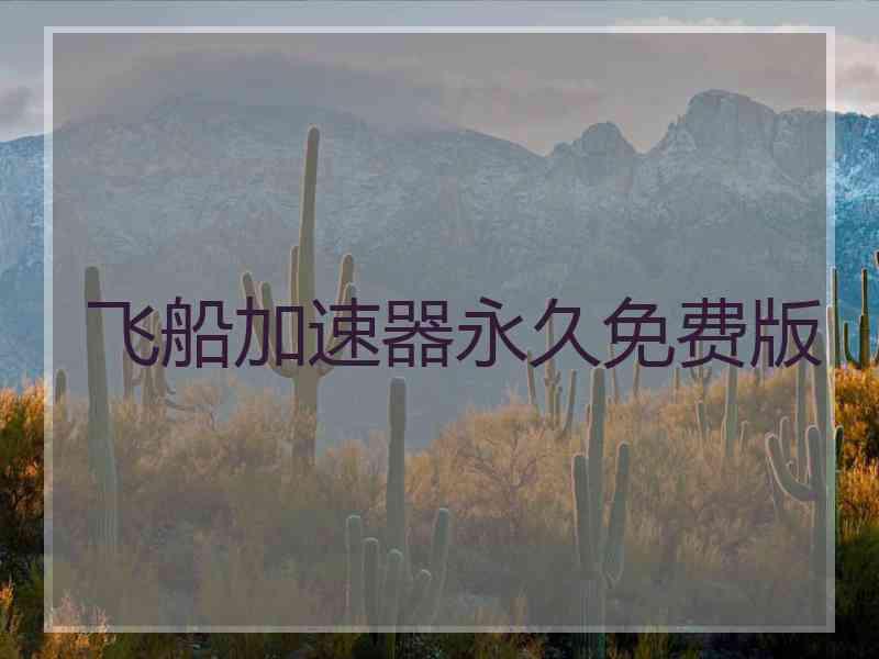 飞船加速器永久免费版