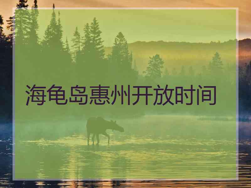 海龟岛惠州开放时间