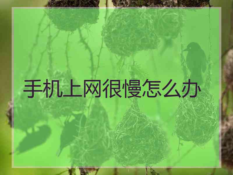 手机上网很慢怎么办