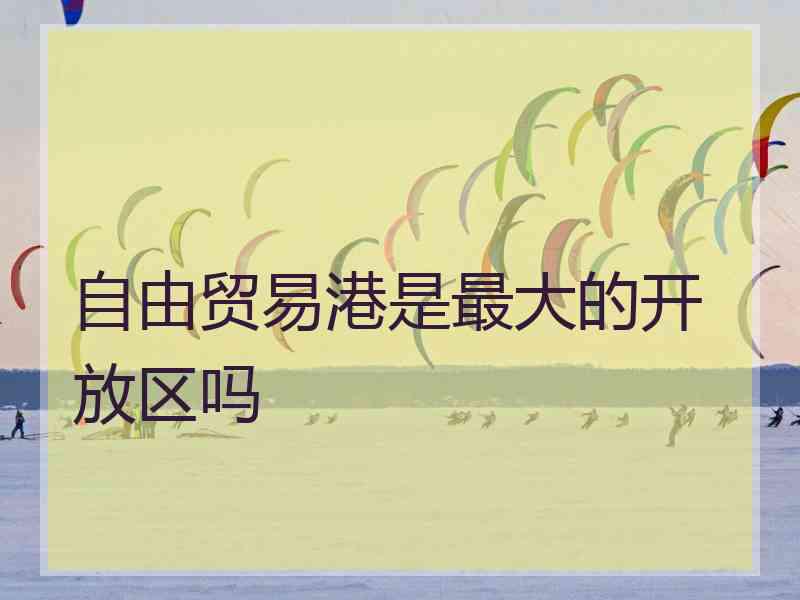 自由贸易港是最大的开放区吗