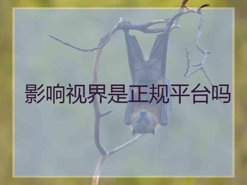 影响视界是正规平台吗