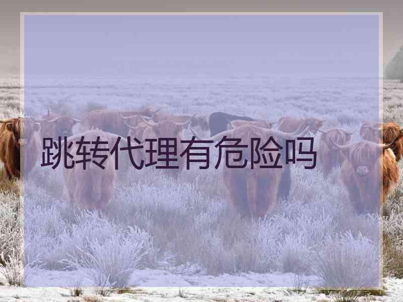 跳转代理有危险吗