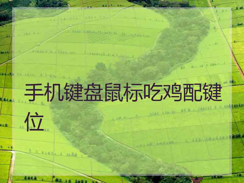 手机键盘鼠标吃鸡配键位