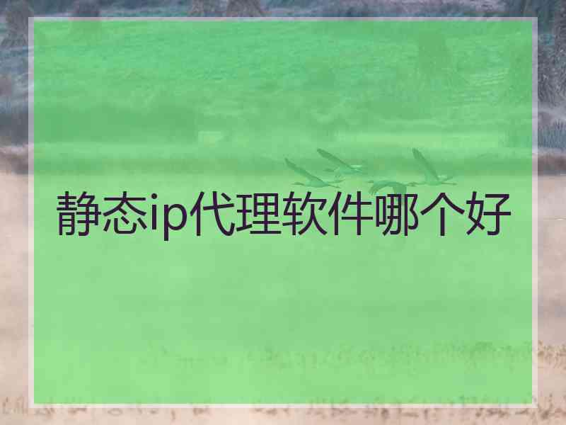 静态ip代理软件哪个好