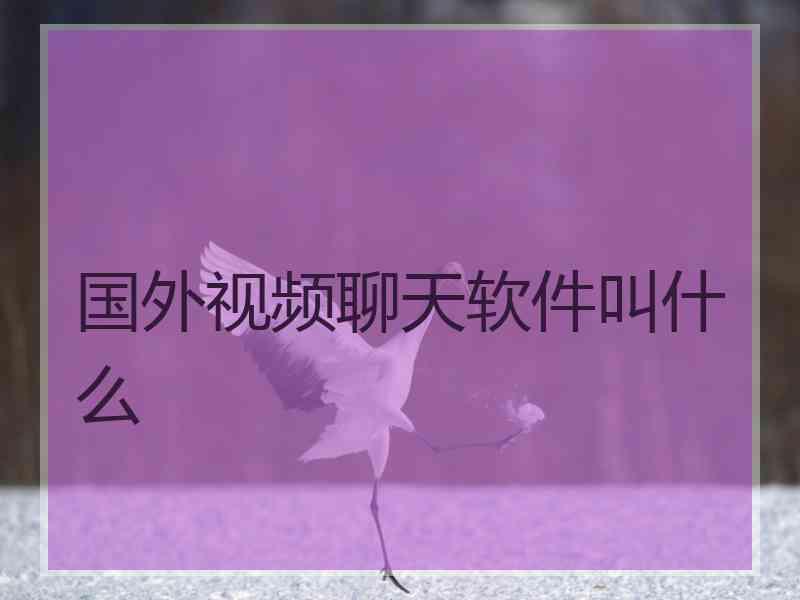国外视频聊天软件叫什么