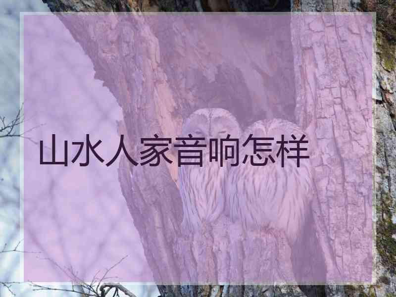 山水人家音响怎样