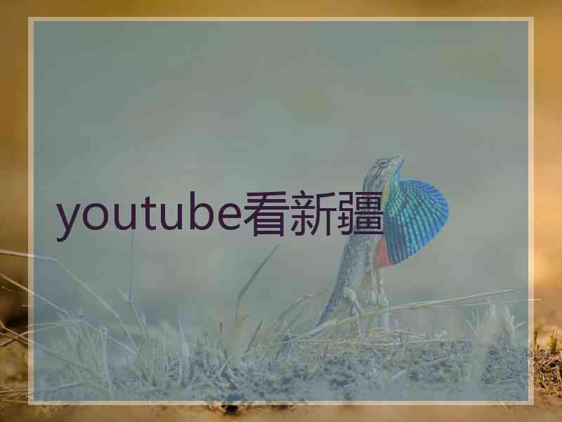 youtube看新疆