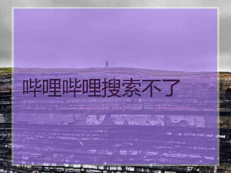 哔哩哔哩搜索不了