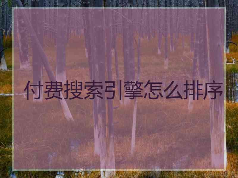 付费搜索引擎怎么排序