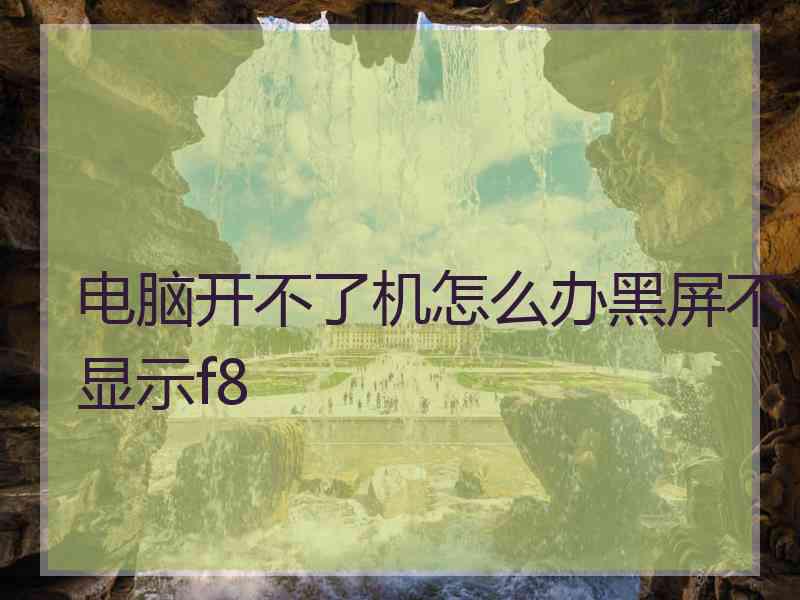 电脑开不了机怎么办黑屏不显示f8
