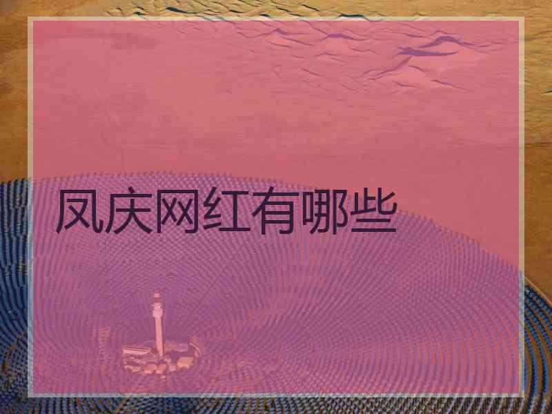 凤庆网红有哪些