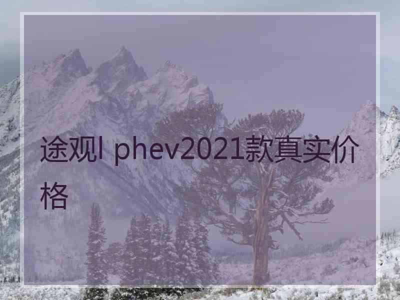 途观l phev2021款真实价格